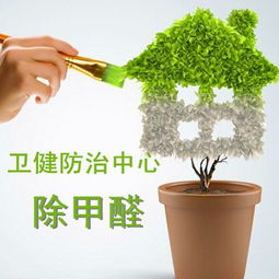 潍坊各县市区精盾环保科技除甲醛免费加盟