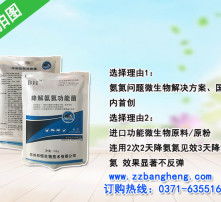 高清图片