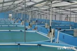 水产养殖过程中,如何改善水体生态环境 从这五个方面入手