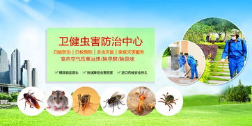 潍坊各县市区精盾环保科技除甲醛免费加盟