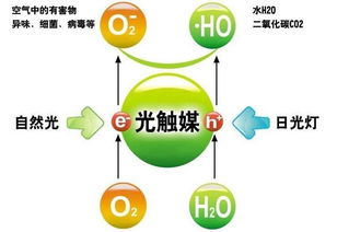 新车不除甲醛的危害,快来看看吧