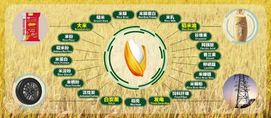 食光荏苒,从百姓餐桌看时代变迁