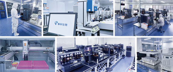 擎科生物获4亿元B轮融资,加速布局'基因工厂'建设与环保科技创新