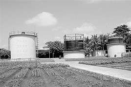 环保科技扮靓钢铁营盘 燃料彻底实现沼气化